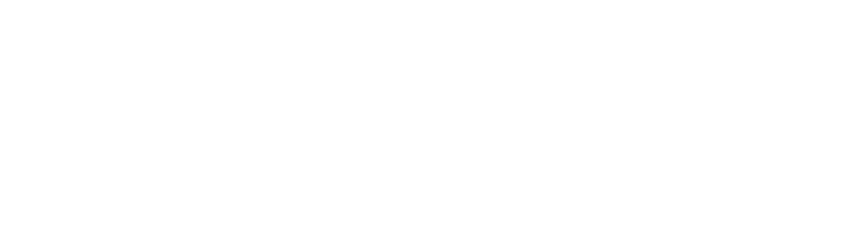Customer intelligence - segmento