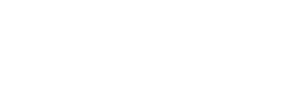 data governance - governo